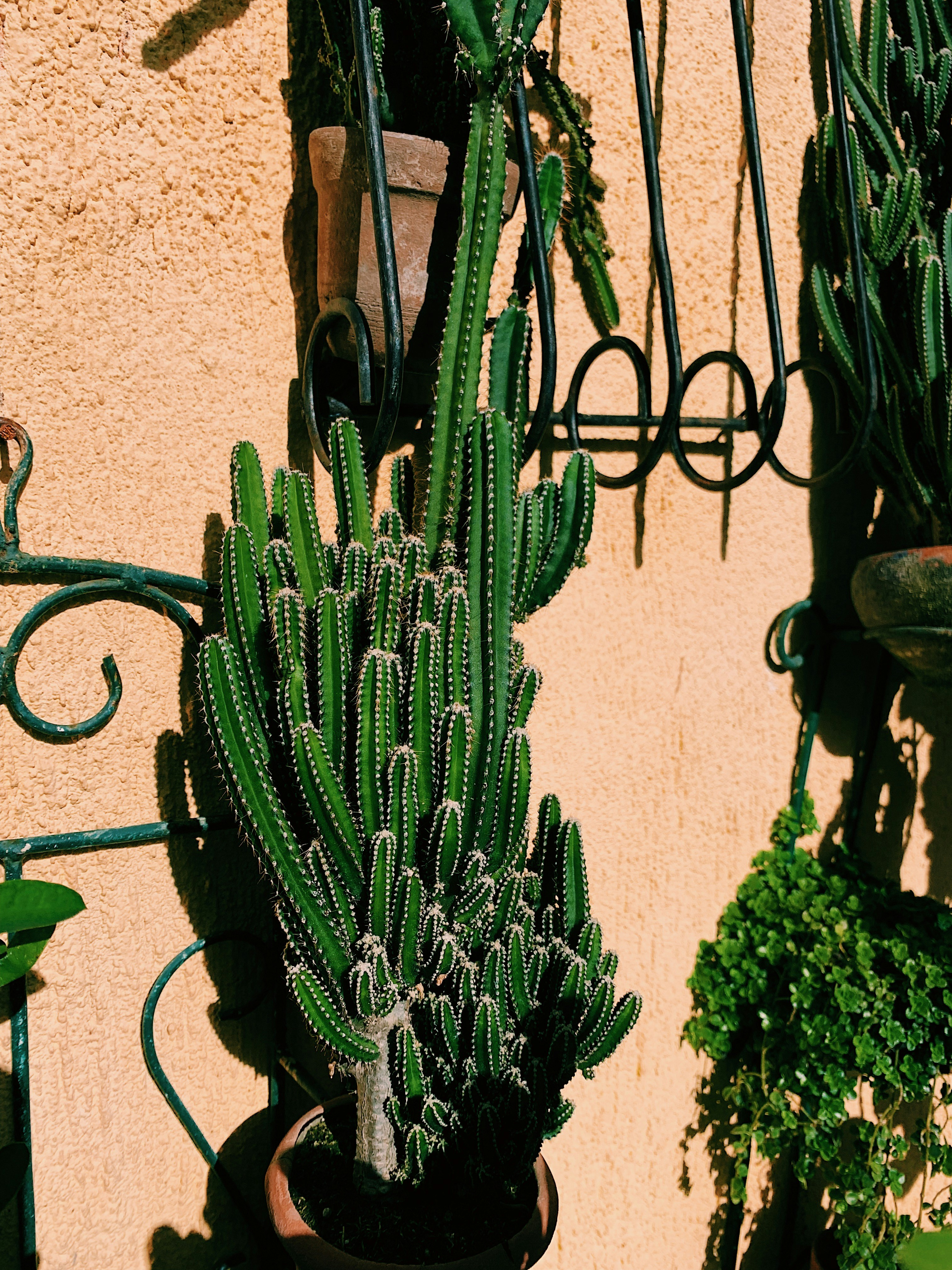 Photo by nicollefigueroa