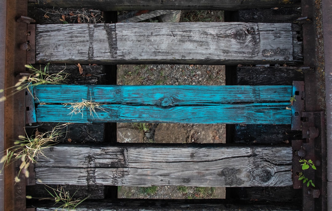 black and blue wooden rack close-up photography