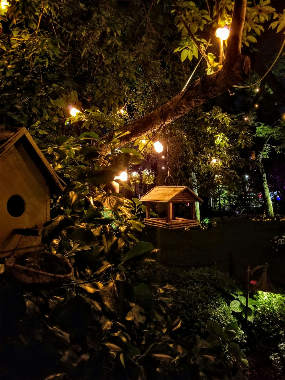 brown wooden gazebo surrounded by trees