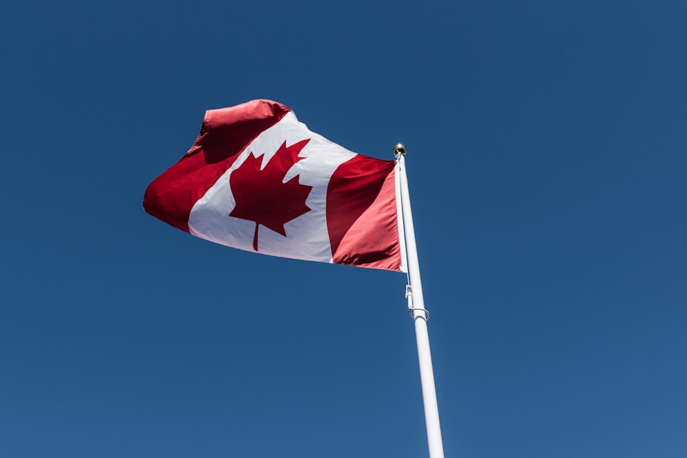 Flag of Canada close-up photography