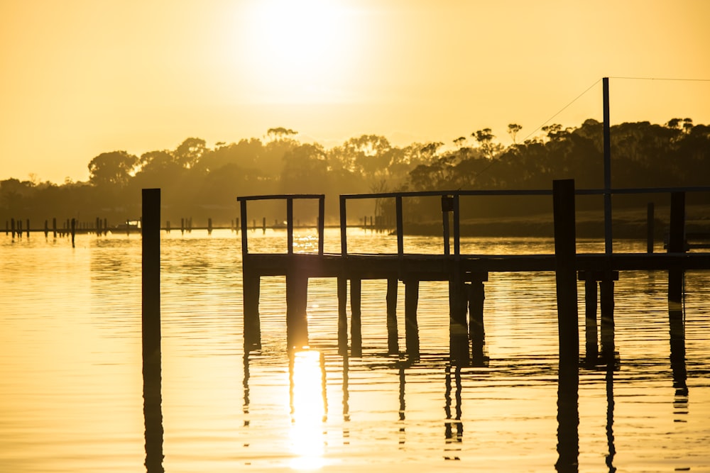 brown wooden dock