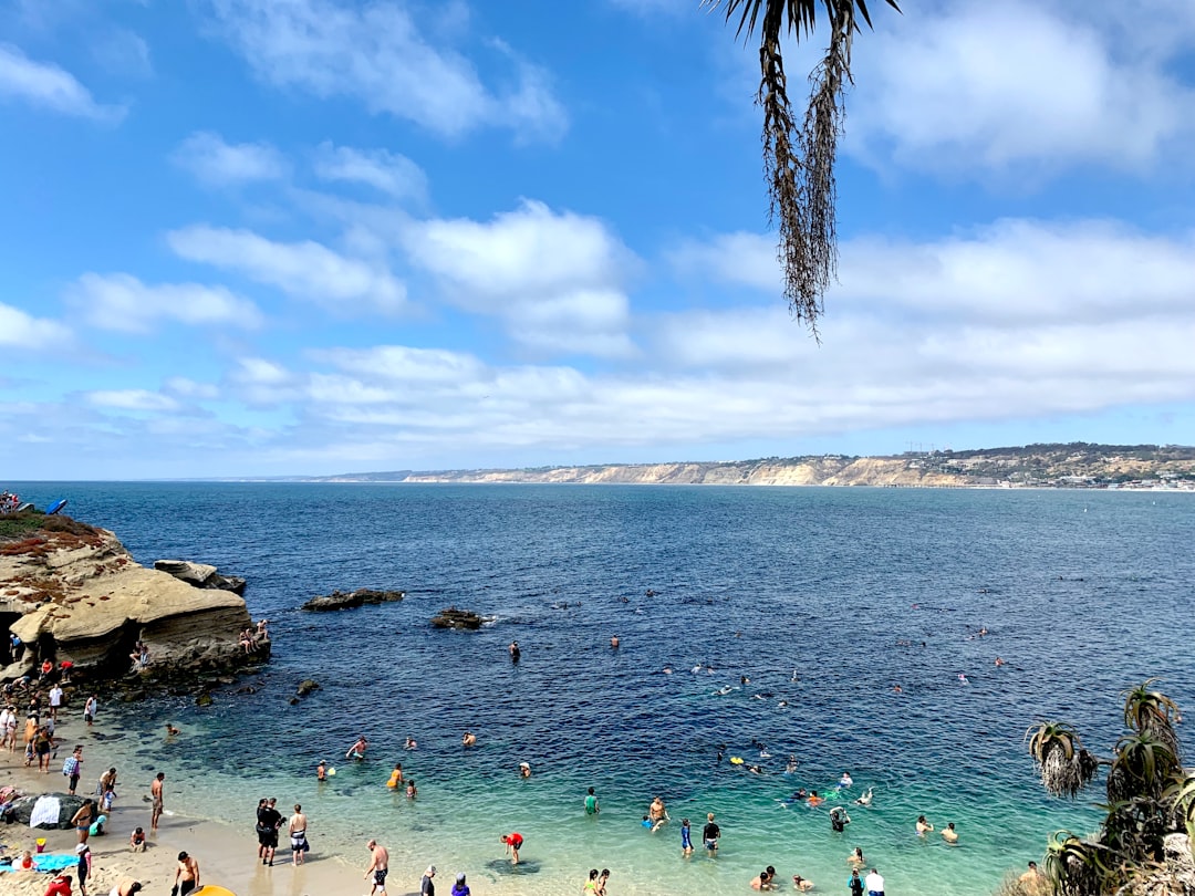 Beach photo spot 4016 Wallace St Encinitas