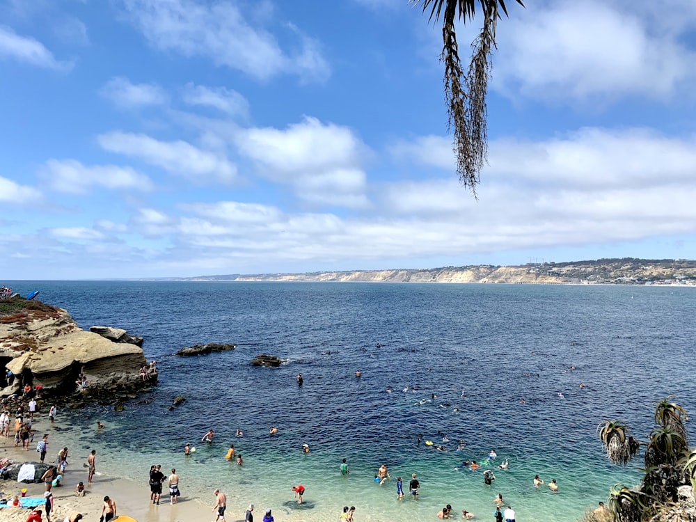 people standing beside body of water during daytime