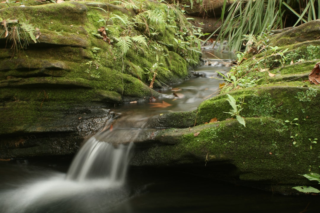 Waterfall photo spot Wahroonga Coogee