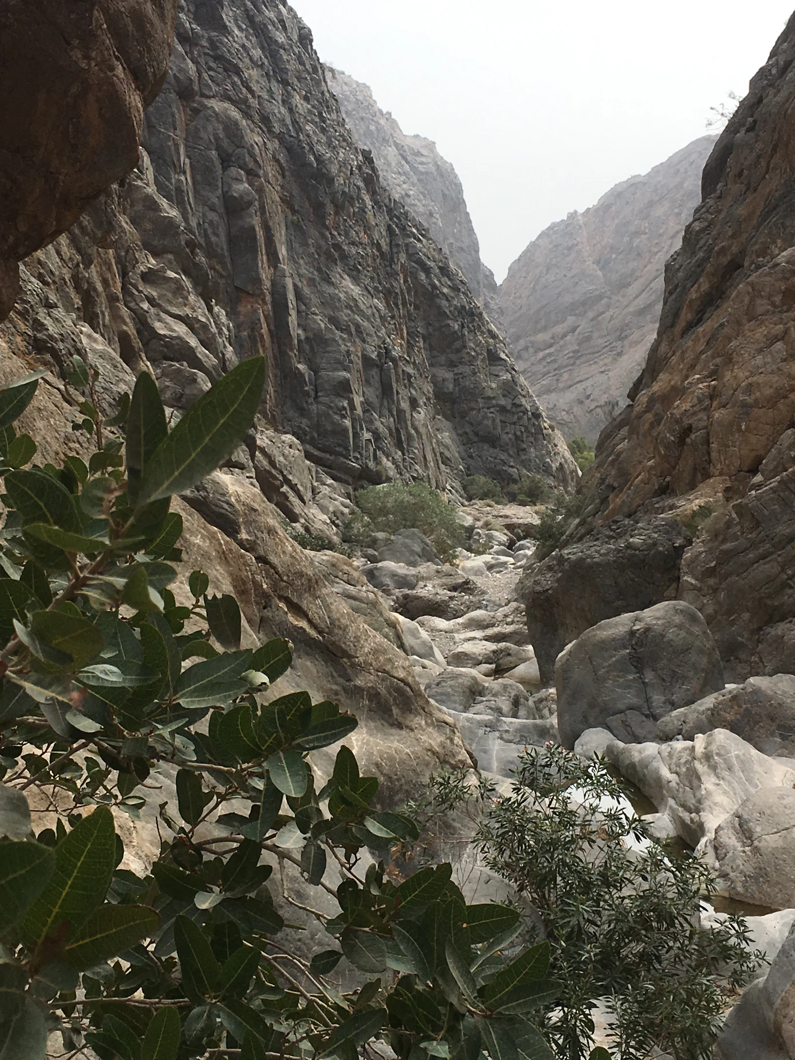 كورنيش صحار