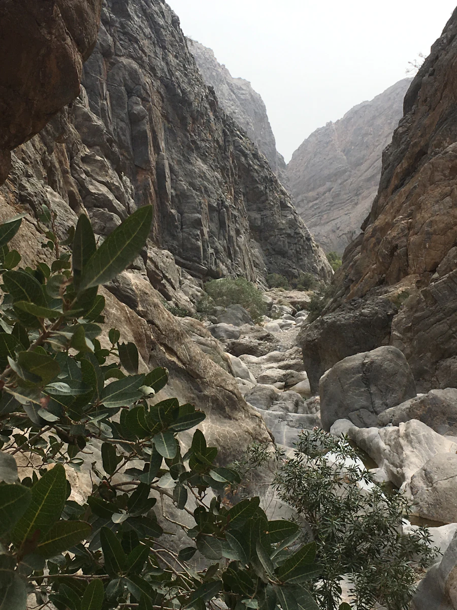 رحلة الخريف صلالة
