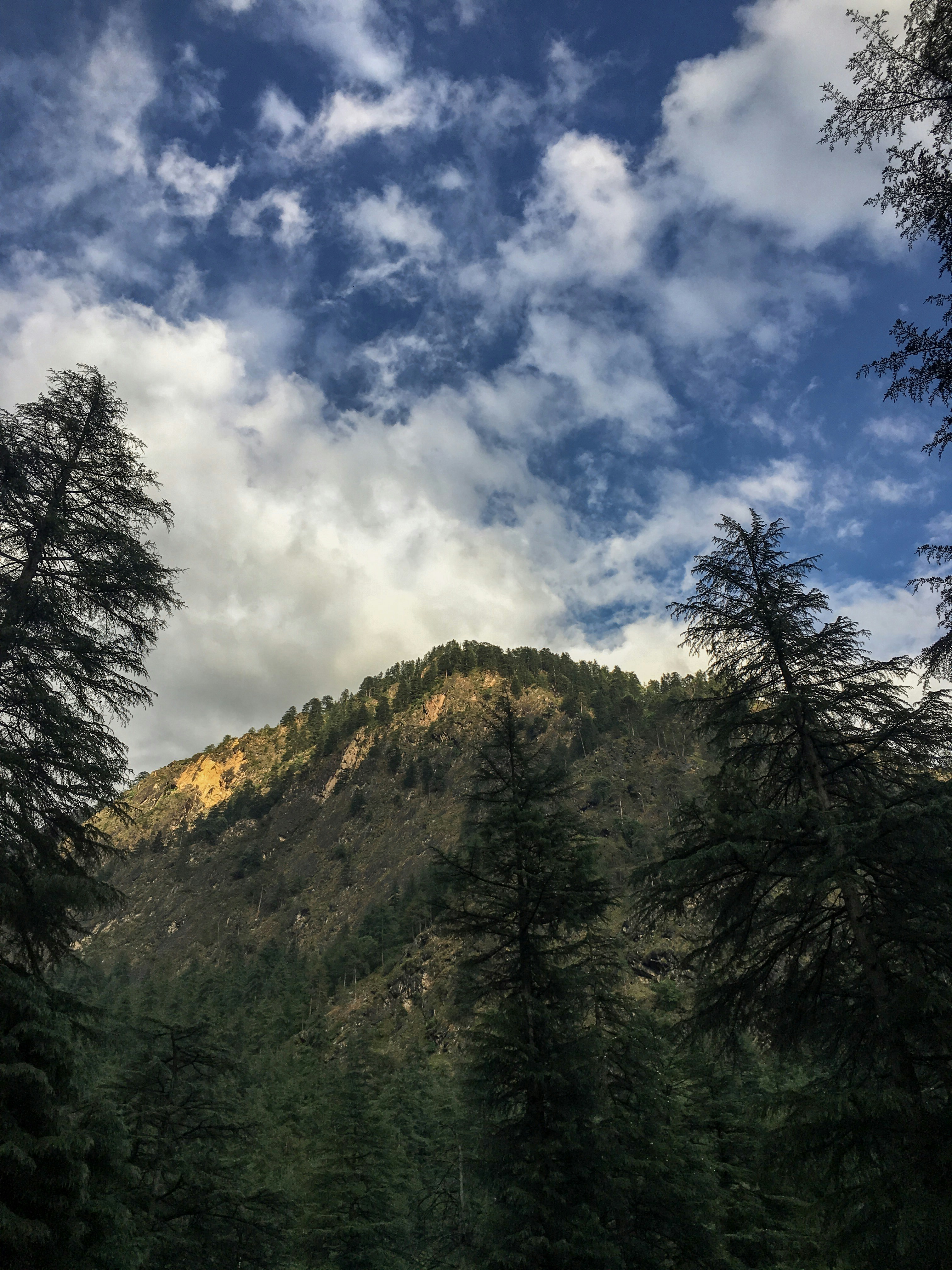 Photo by jaisondhi