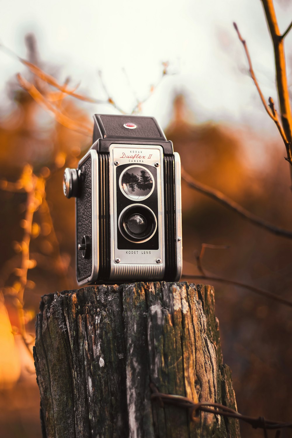 gray and black camera on tree brunch