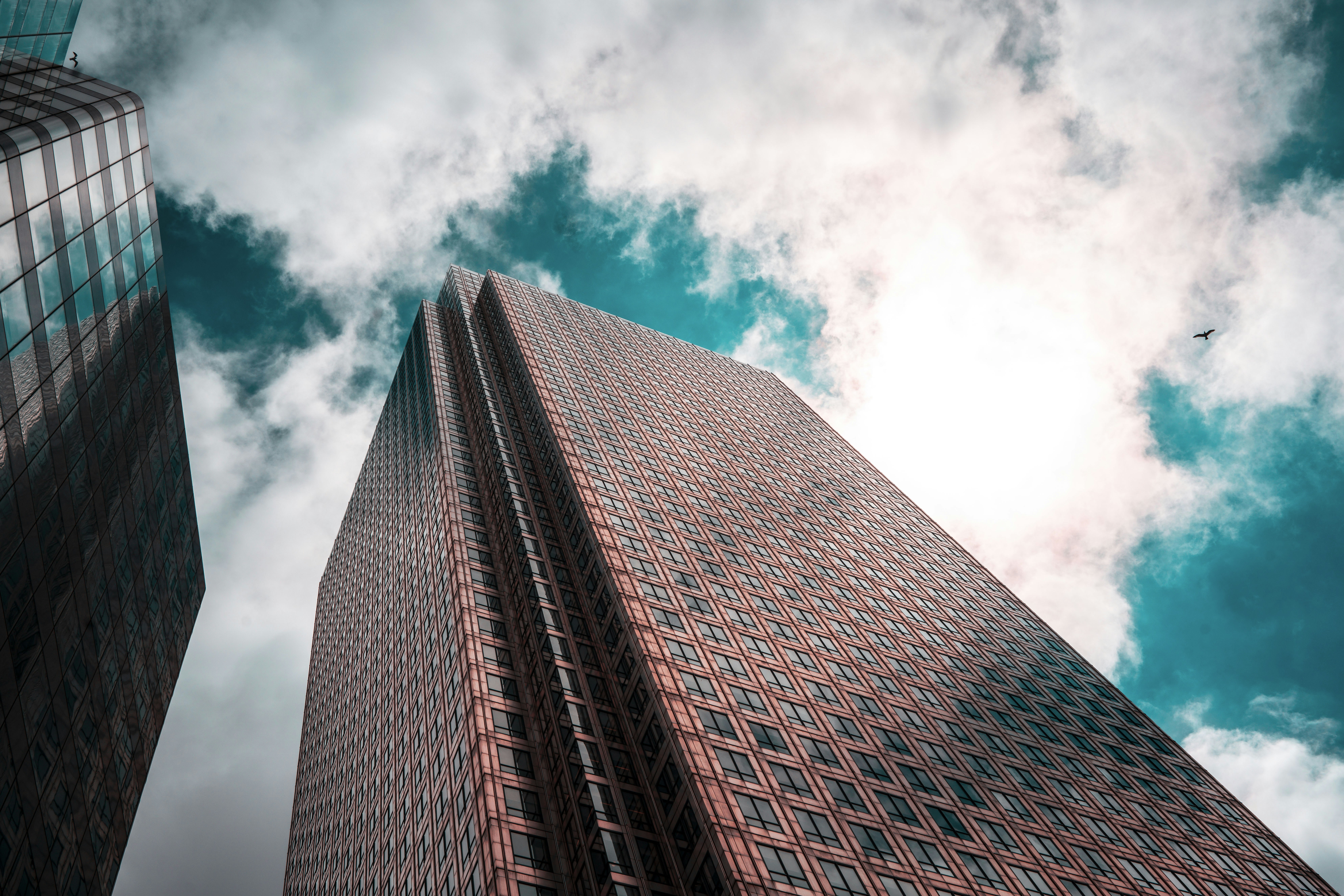 Photo by theblackwaldo