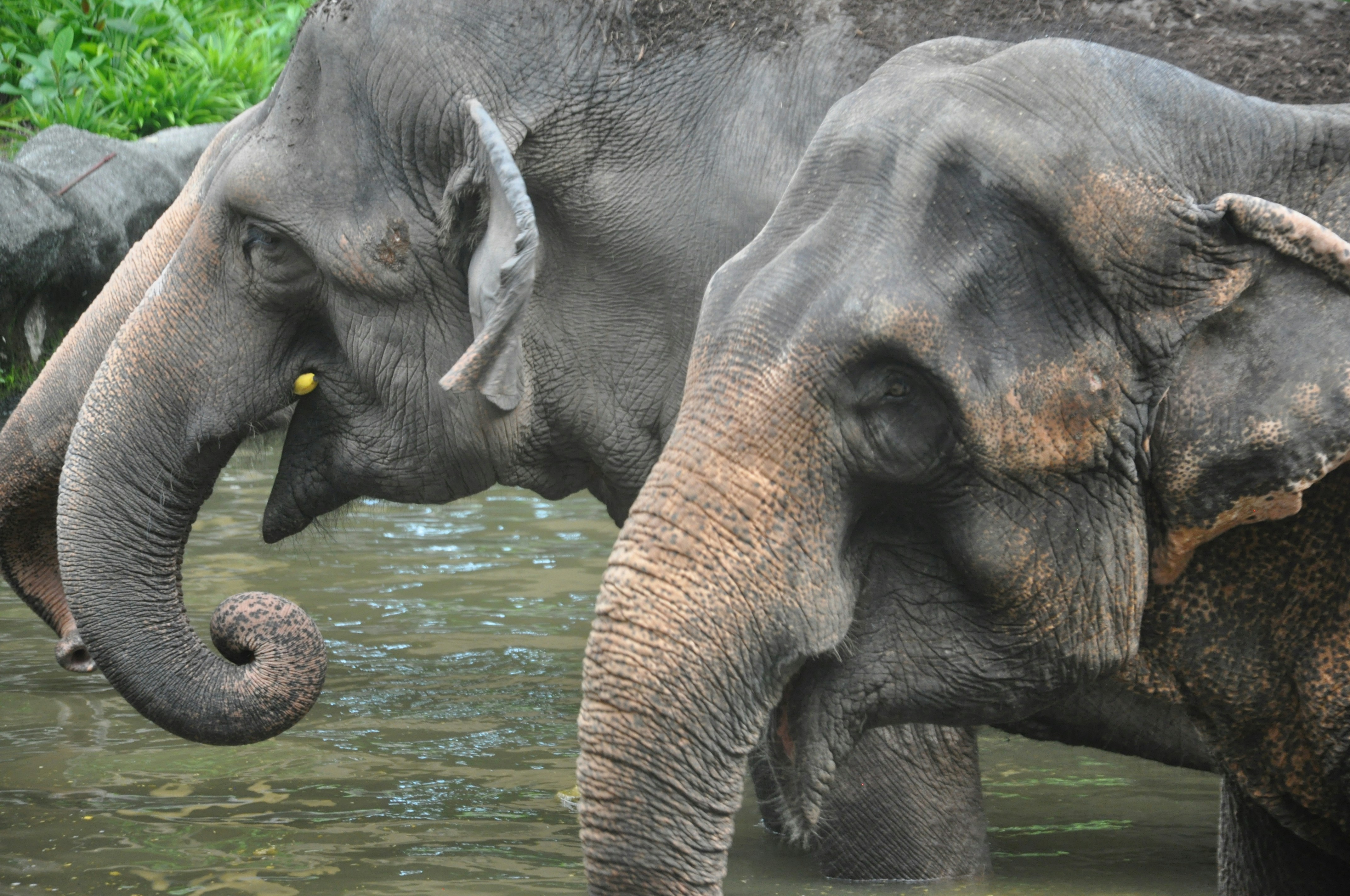 Photo by rahuldewan
