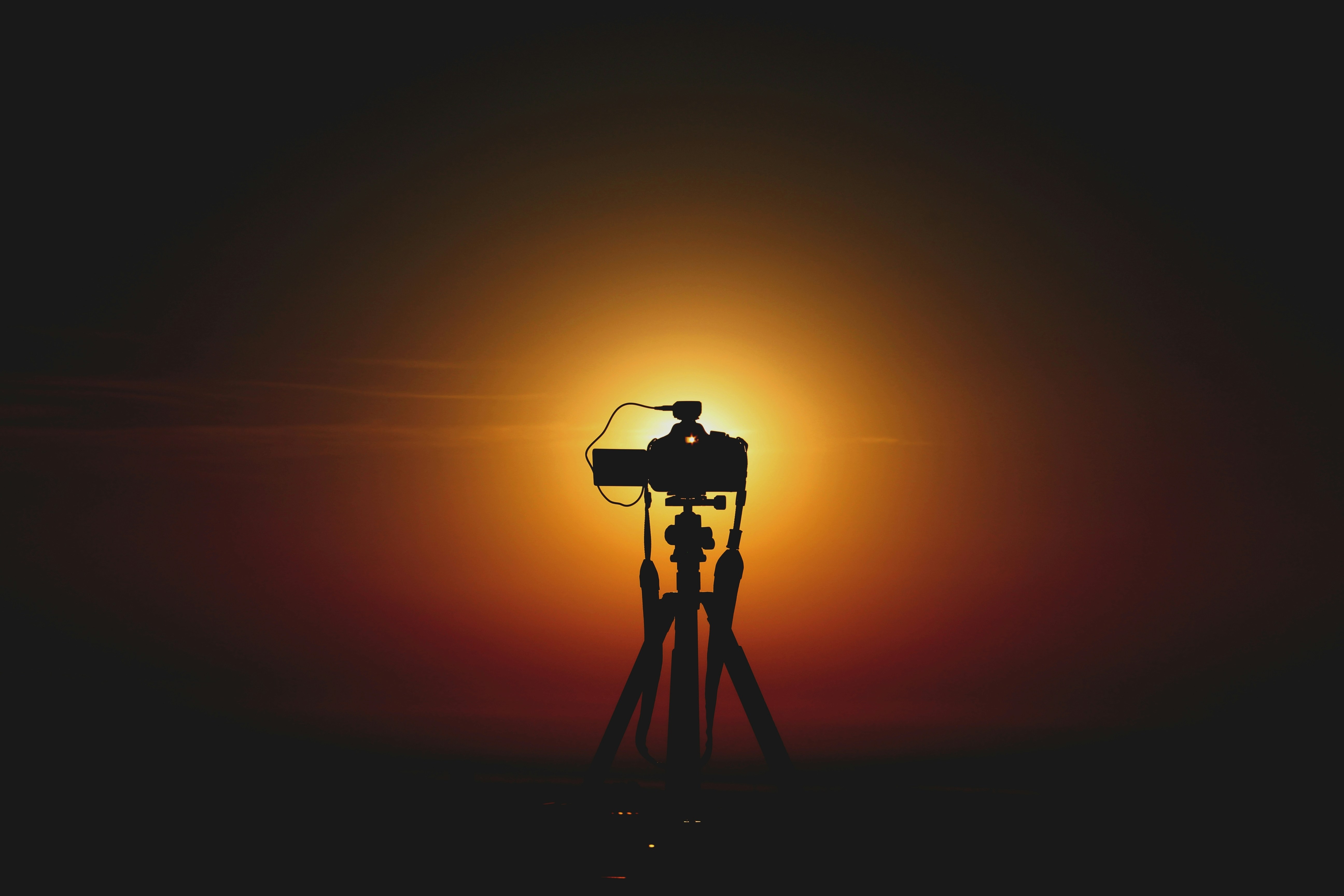 Photo by silverarrow