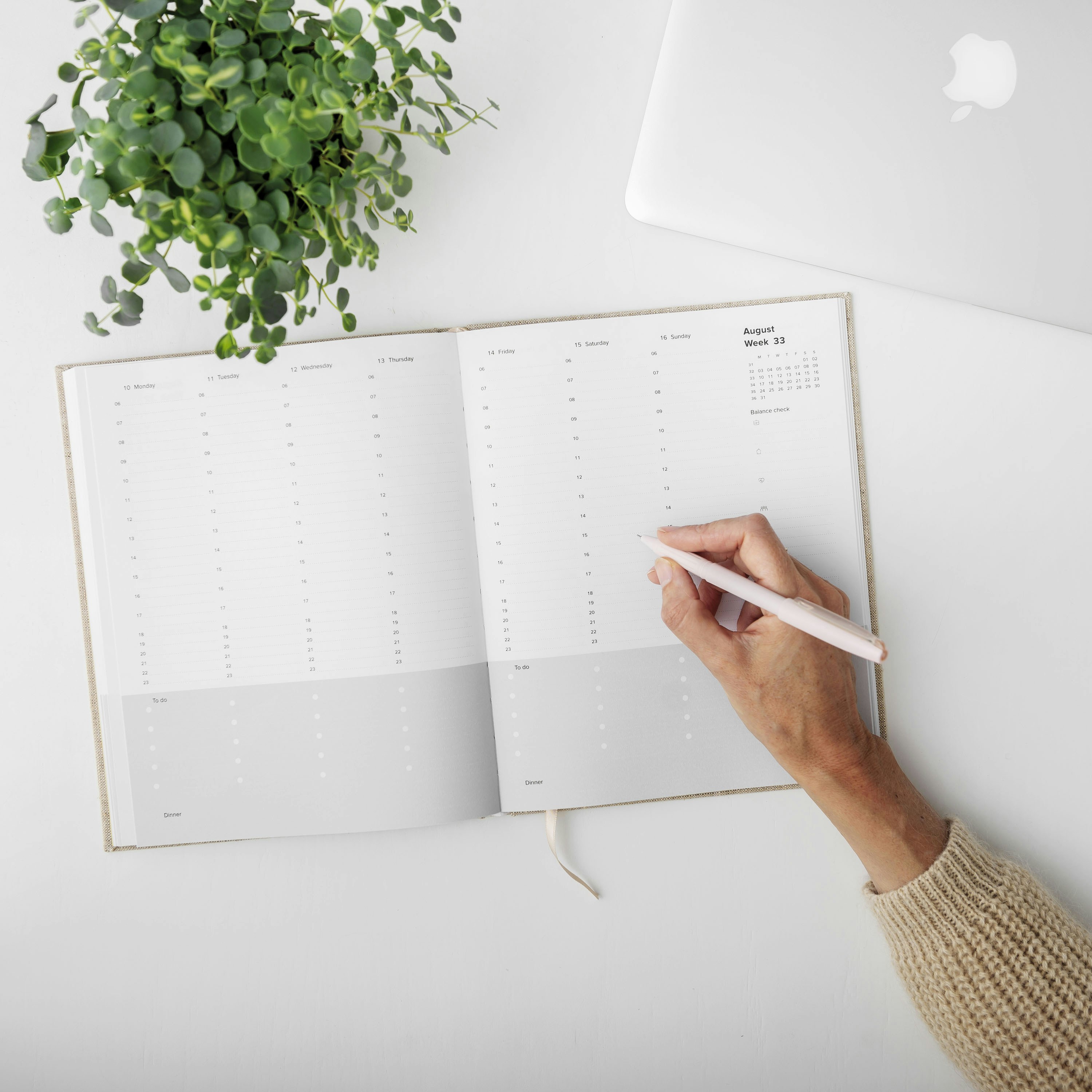 photo-1565509059723-34cd3f8eb2ae?ixlib=rb-1.2.1&ixid=eyJhcHBfaWQiOjEyMDd9&auto=format&fit=crop&w=800&q=80