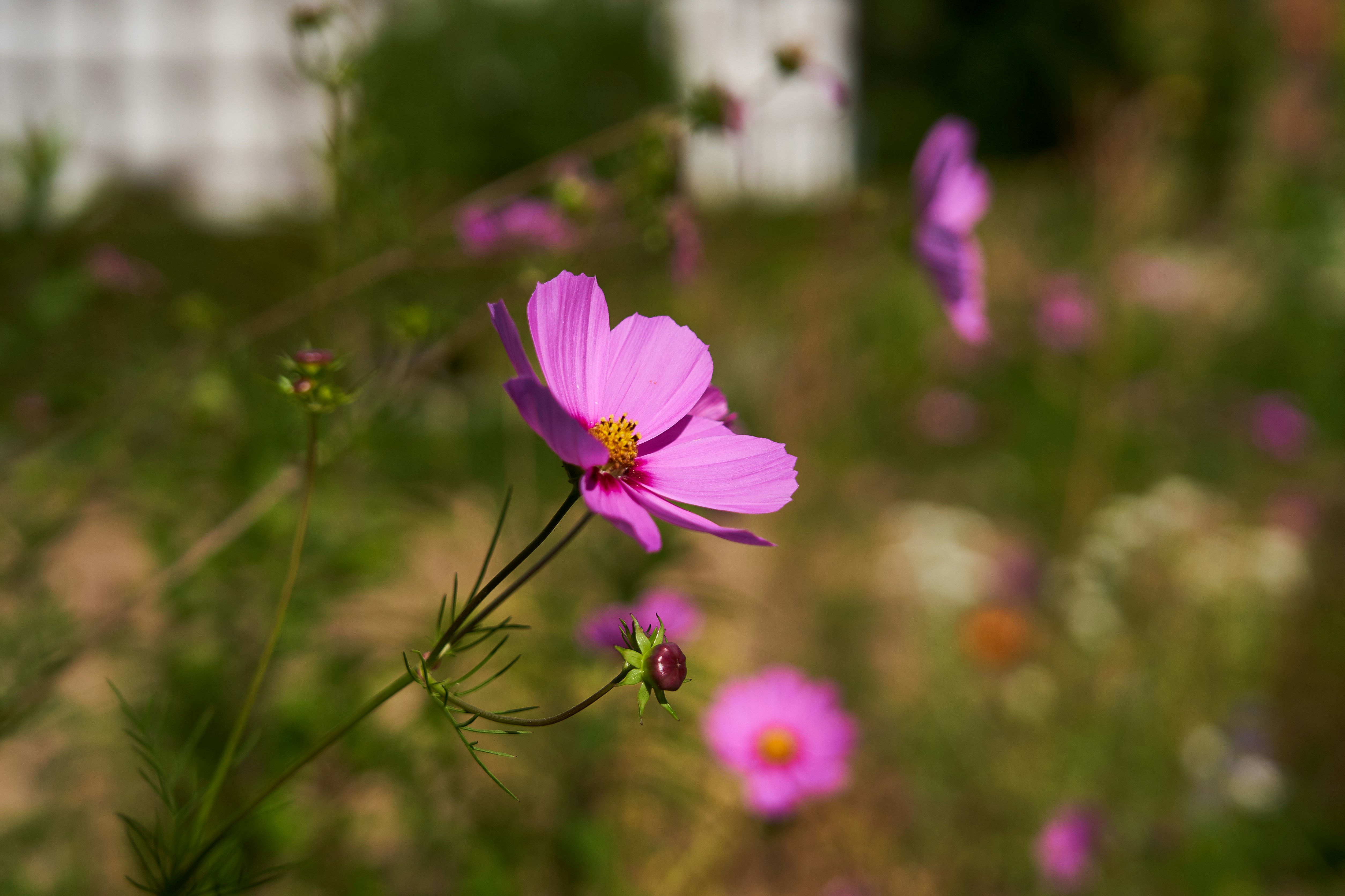 Photo by ingodoerrie