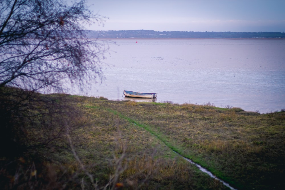 white and gray canoe on body of water