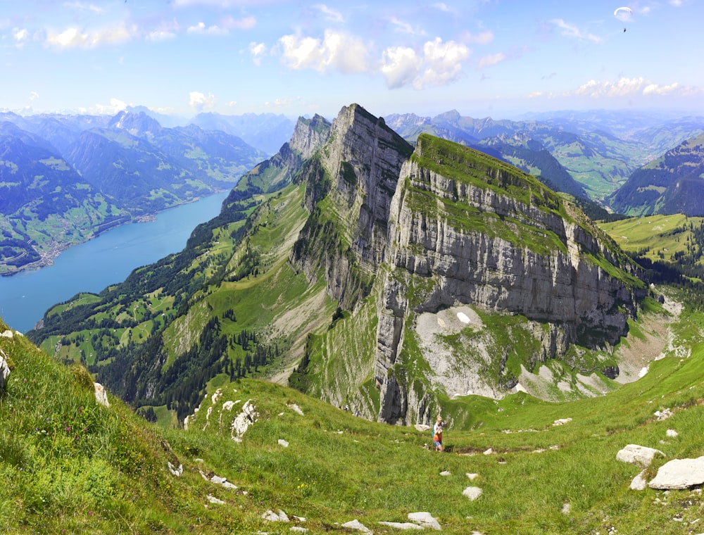 green grass on mountain