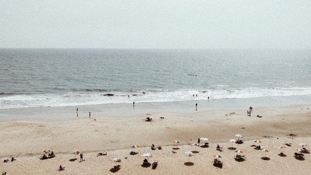 shore near body of water