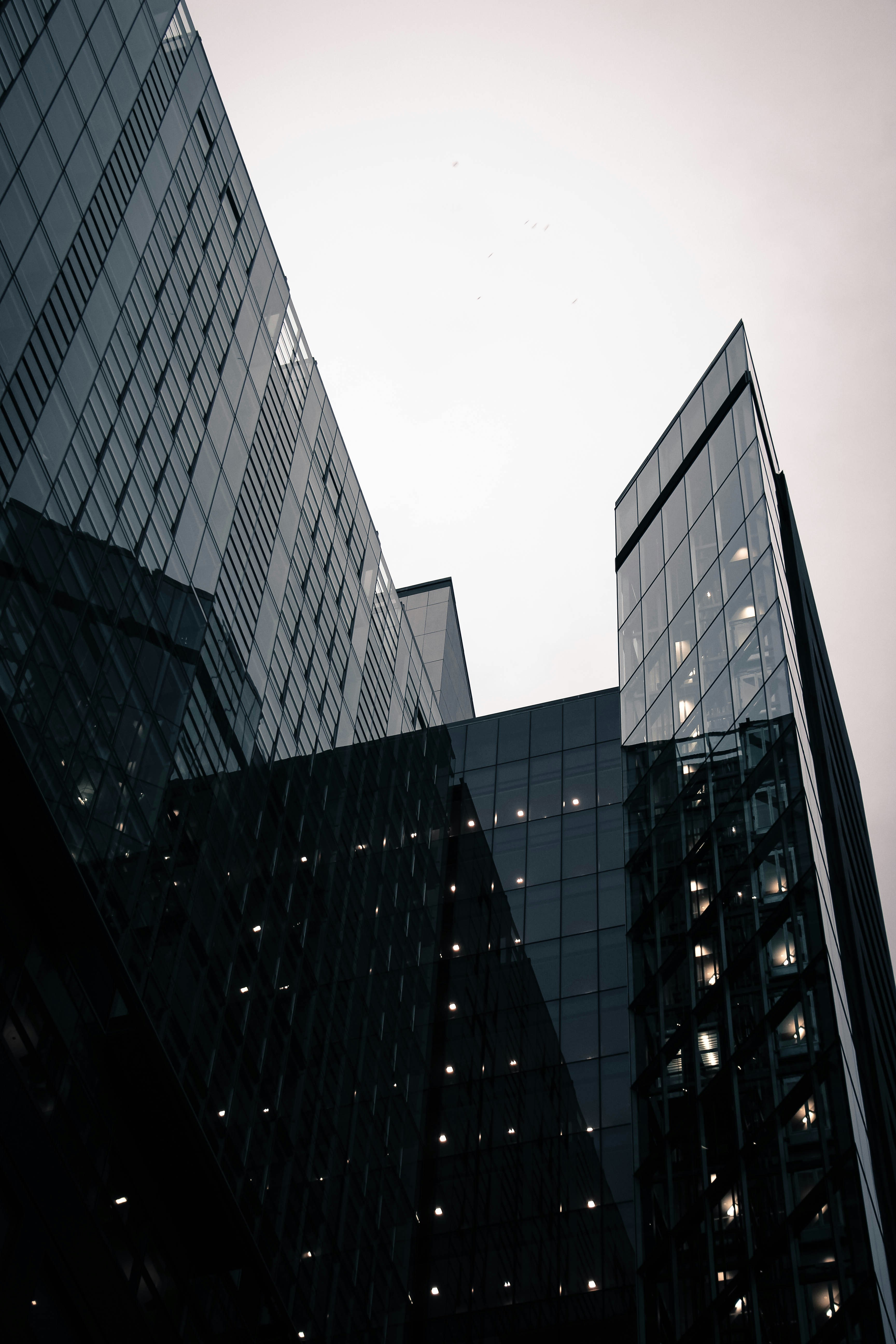 Photo by coffeecurtains