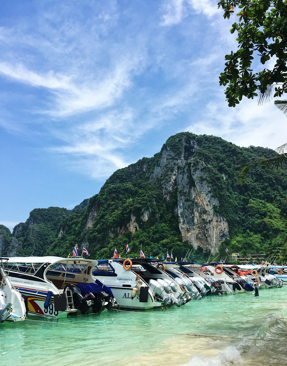 row of power boats