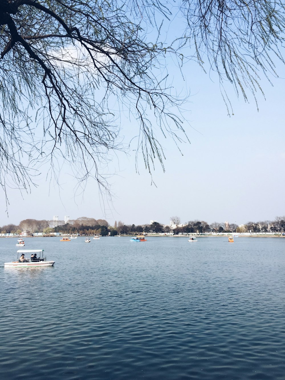 white boat on body of water