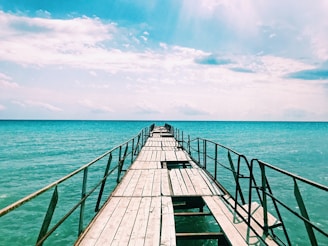 wooden dock during daytime