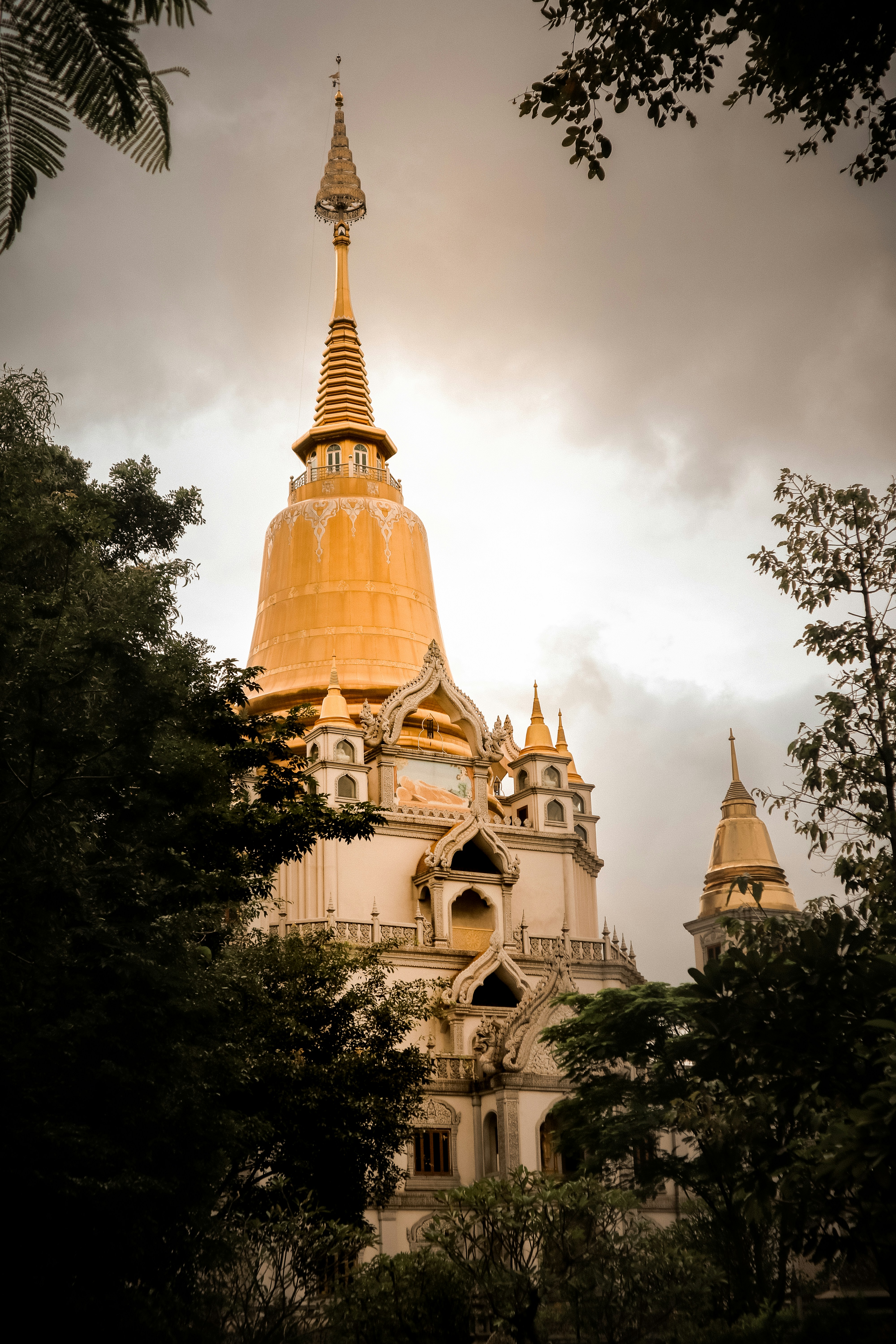 Photo by thanhsoledas