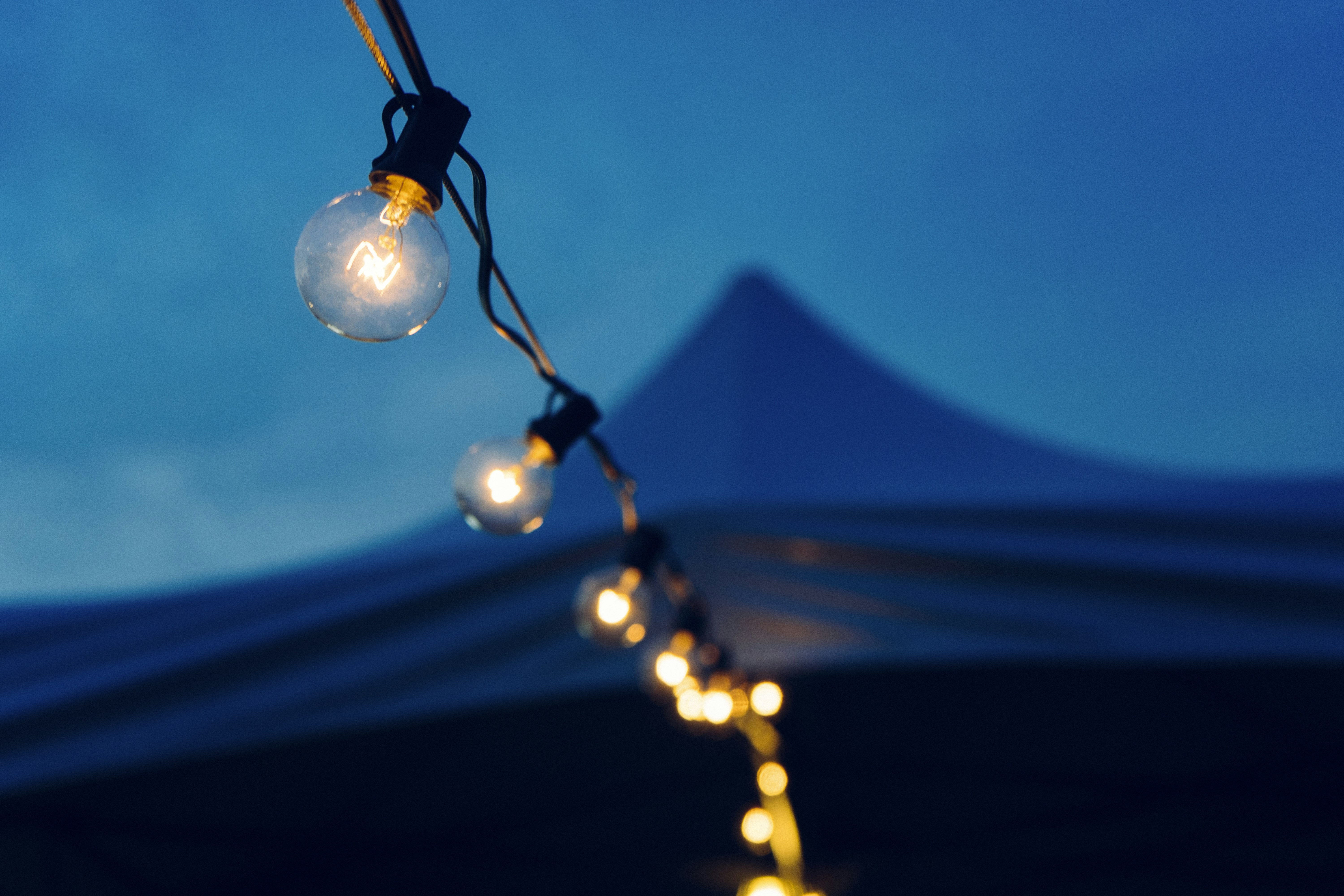 close-up photo of lights at night