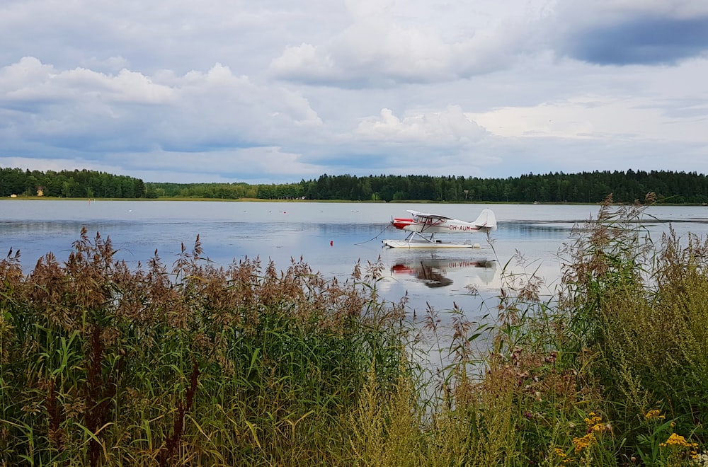 plane on lake