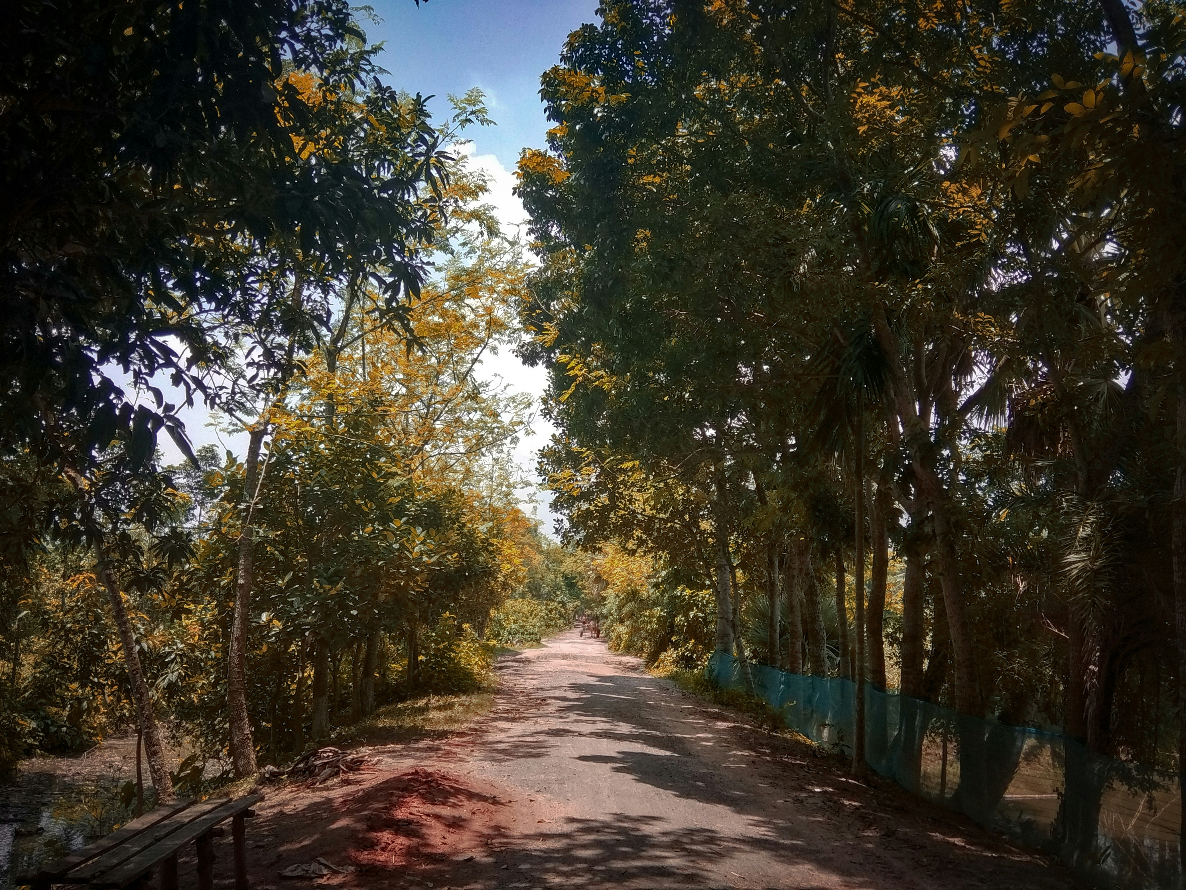 Photo by monirhasnan