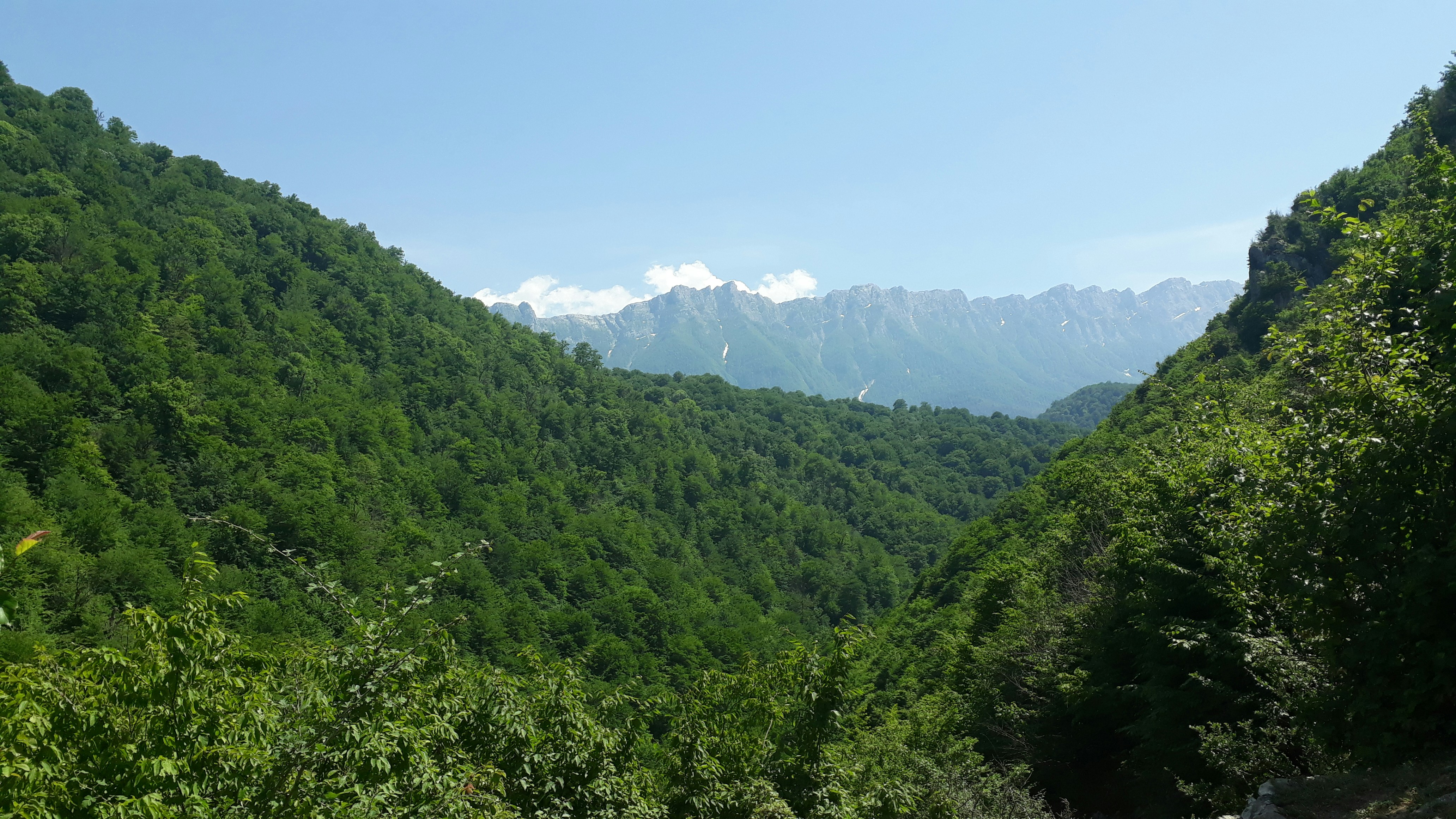 Photo by nimashah2000