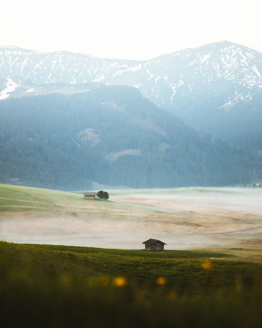 house in green field