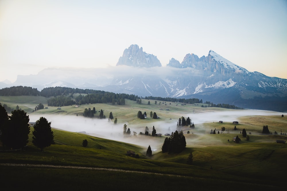 Fotografia delle Montagne Rocciose