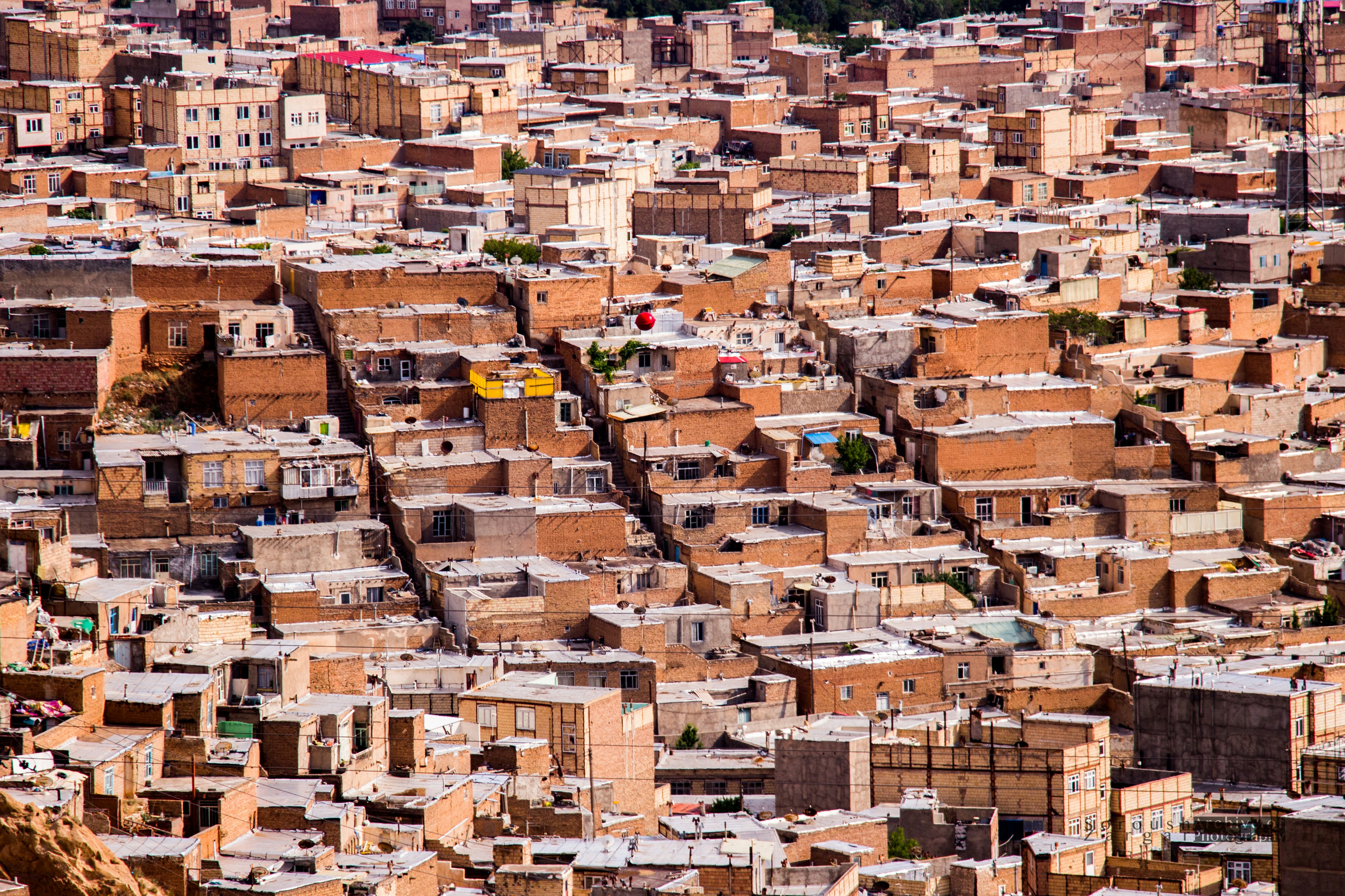 Photo by soroushzargar