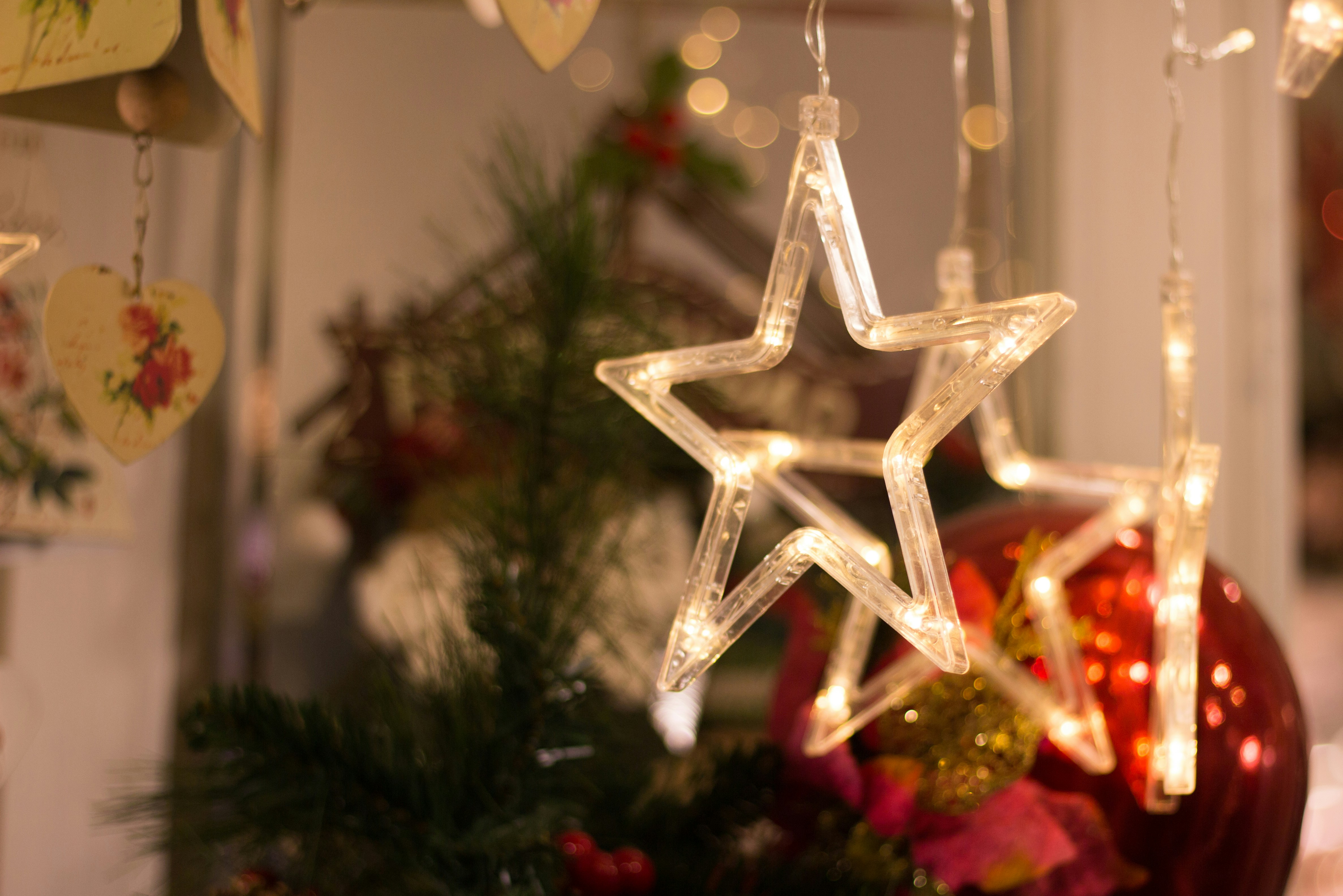 Photo by soroushzargar