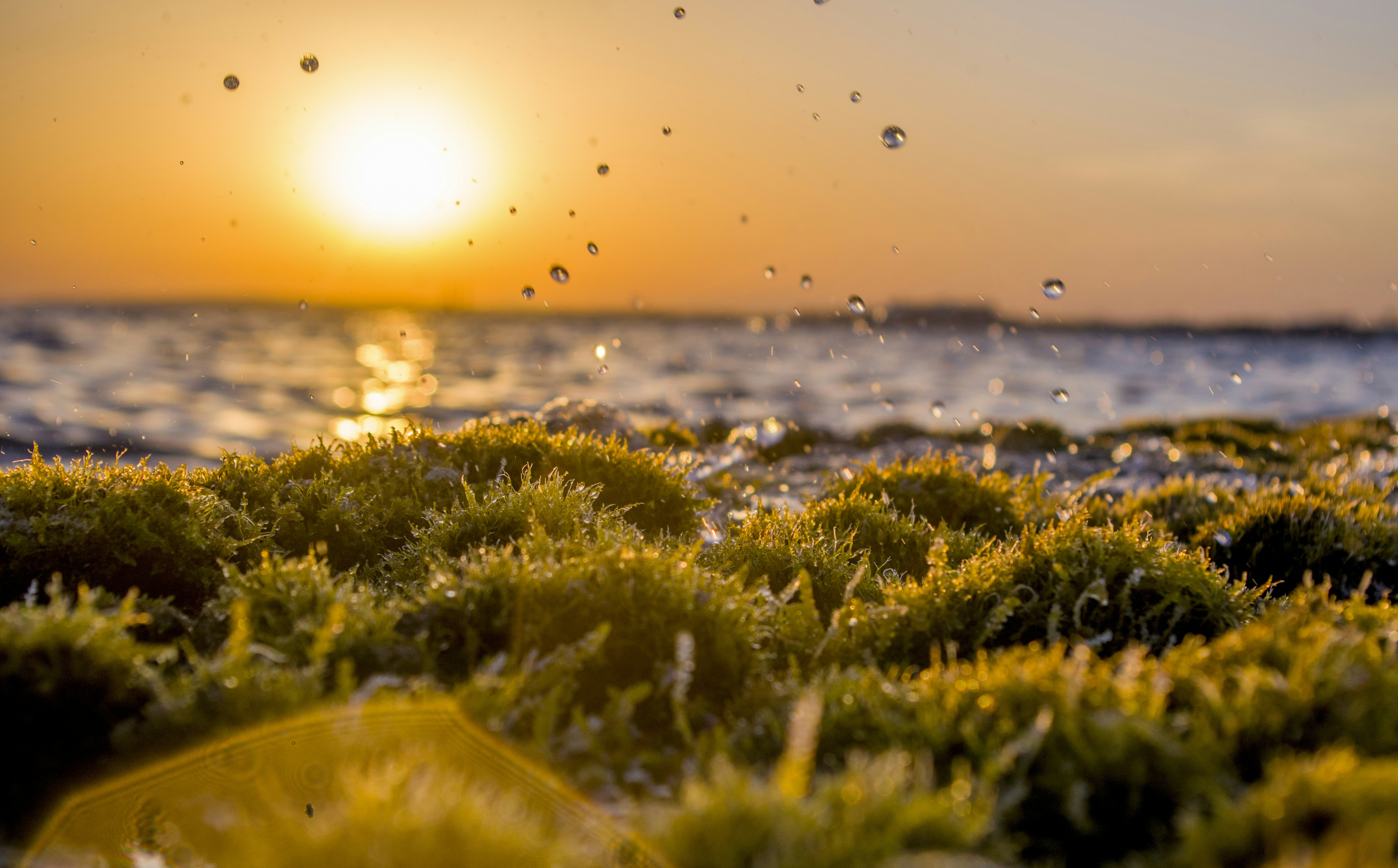 Ayia Napa – Accommodation & Where to Stay