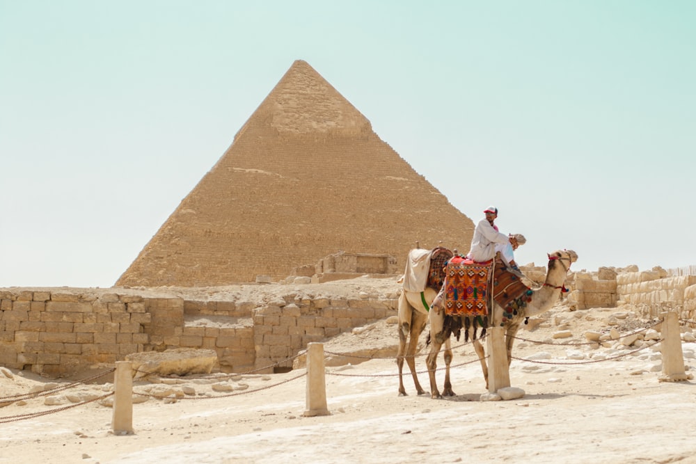 person riding on camel