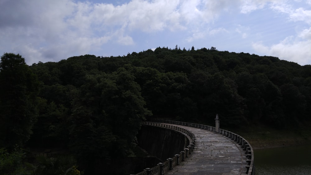 Puente de madera marrón