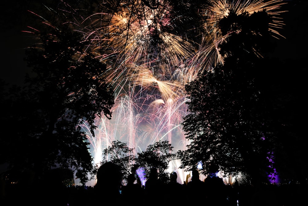 fireworks during nighttime