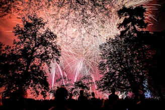 fireworks display