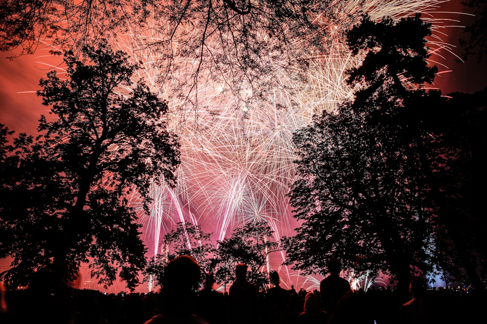 fireworks display