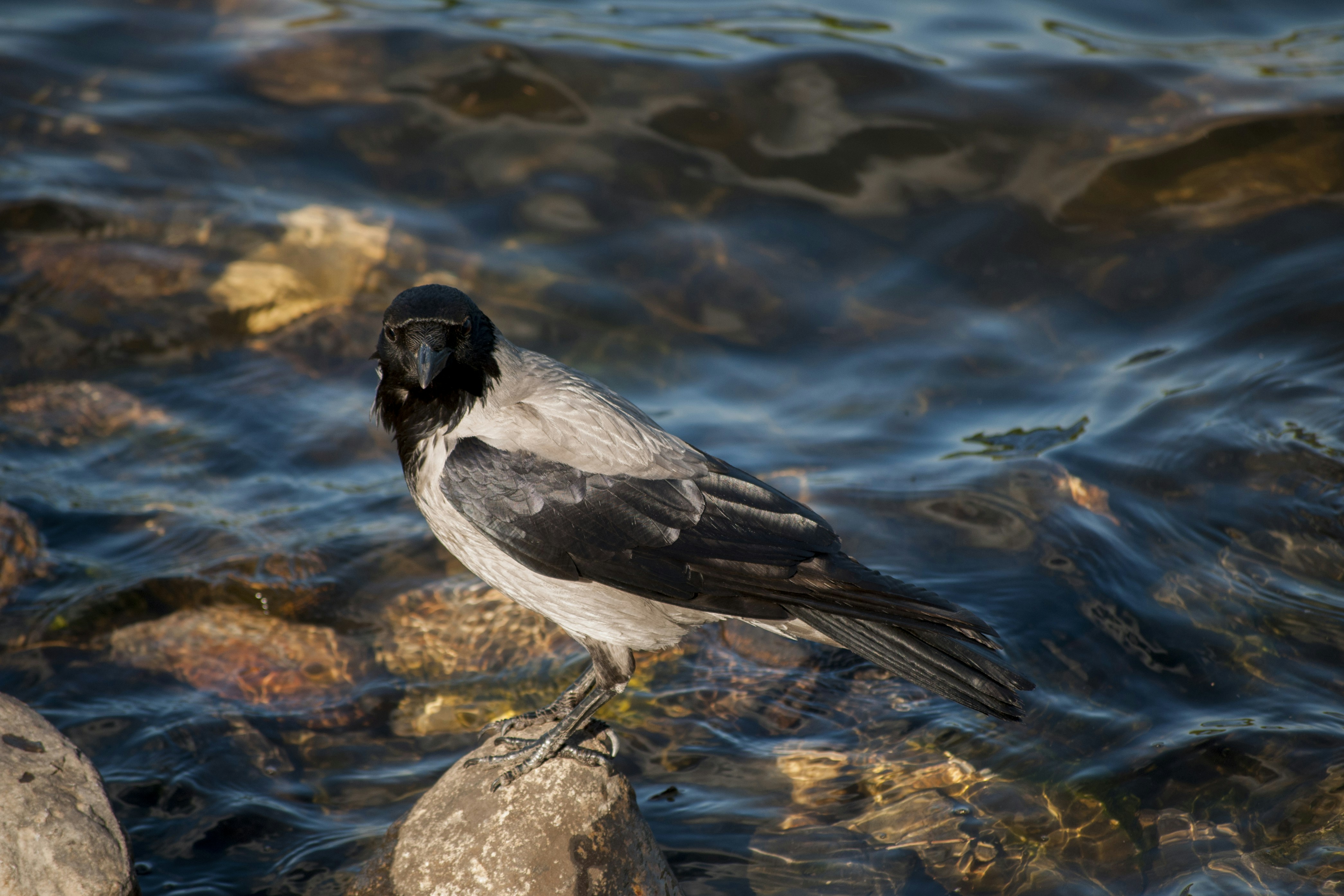 Photo by yuli_superson