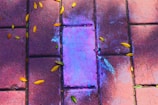A concrete pavement with a central area stained with vibrant purple and blue hues. Scattered around are small yellow leaves adding an autumnal touch.