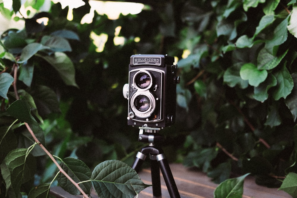 black twin lens reflex camera