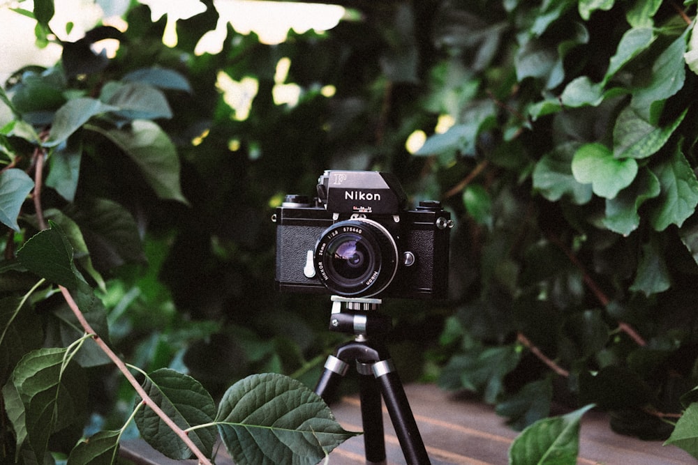 black Nikon DSLR camera on focus photography