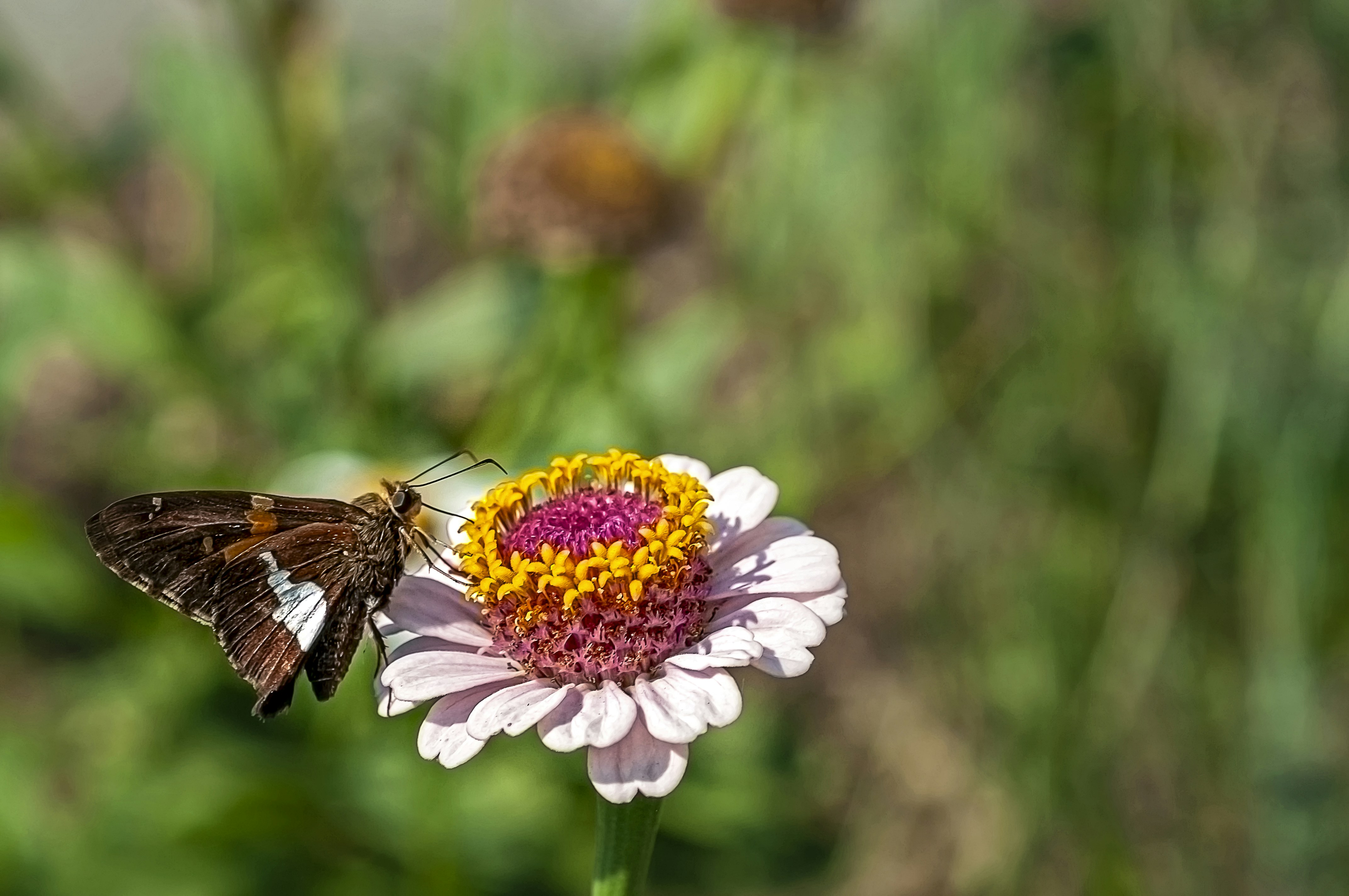 Photo by rthiemann