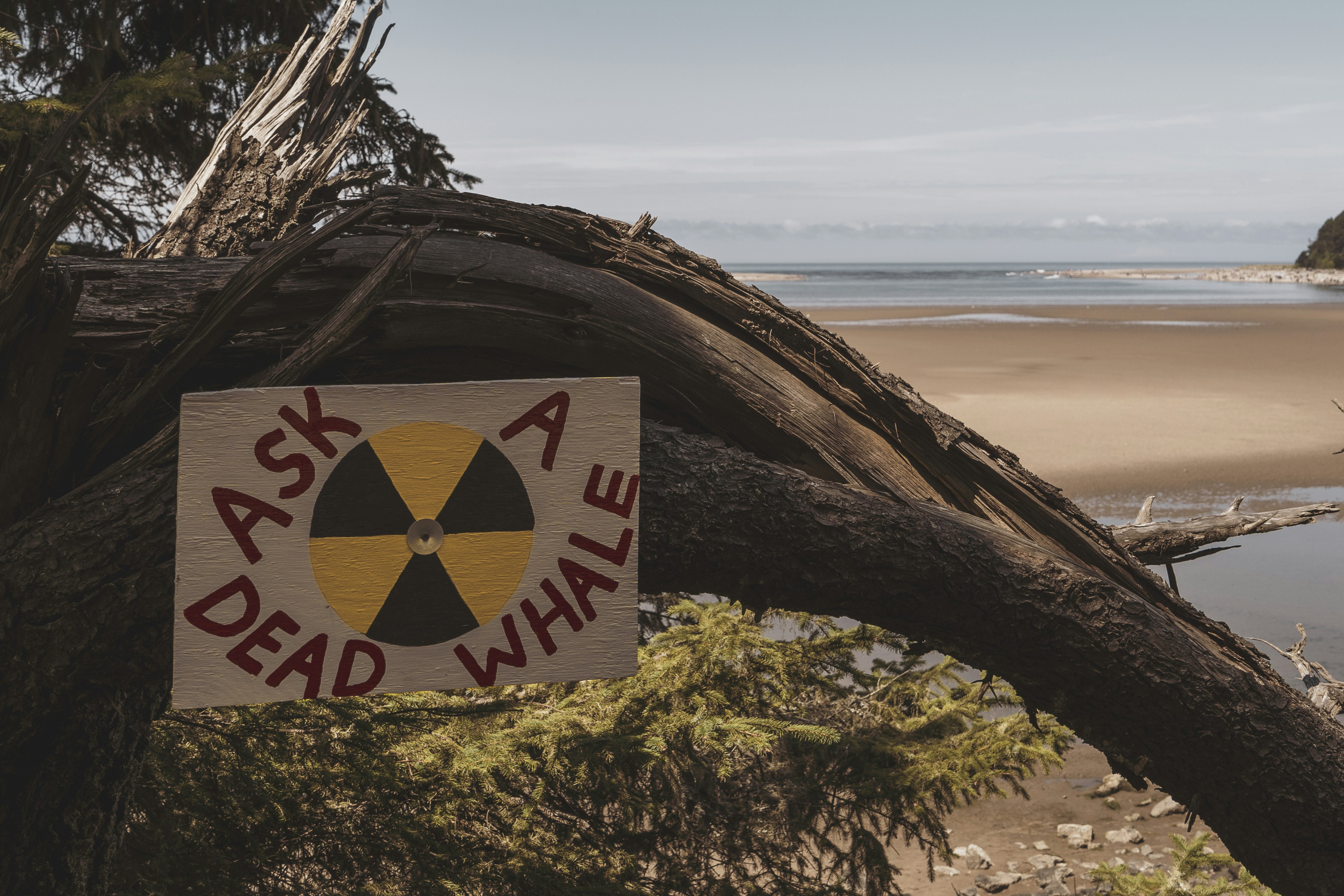 The Power of Virtual Shows in Driving Social and Environmental Activism