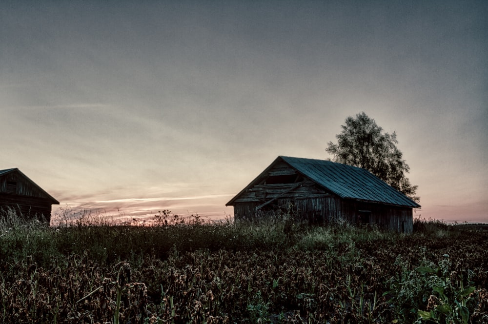 cabin near crop field