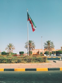 flag near building