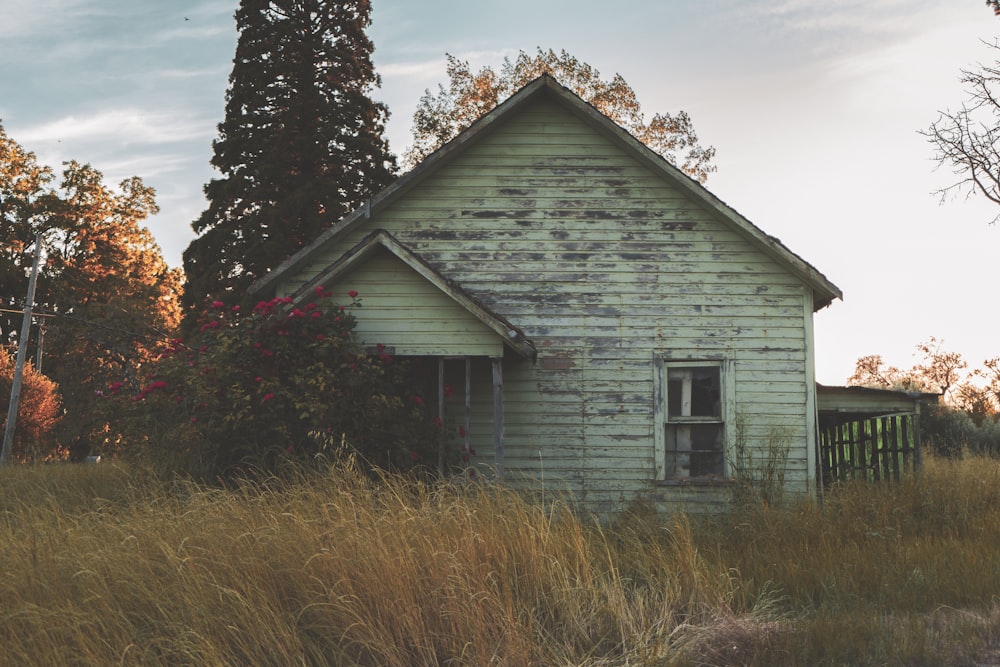 grey wooden house