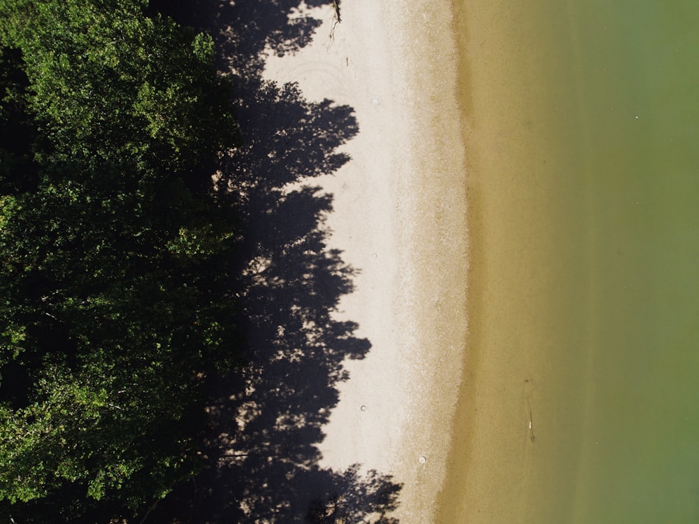 low angle photo of seashore