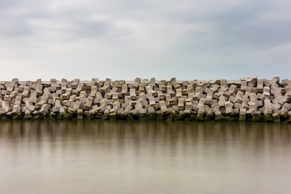 gray rocky shore